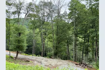 Tbd Junaluska Road, Boone, NC 28607 - Photo 30