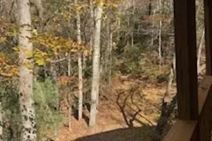 667 Pinewood Knoll Dr, Hendersonville, NC 28739 - Photo 8