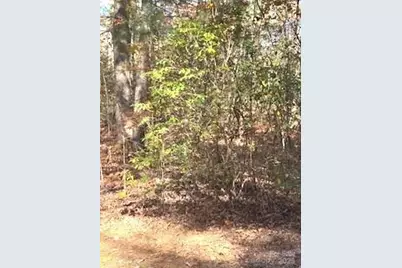 667 Pinewood Knoll Drive, Hendersonville, NC 28739 - Photo 22