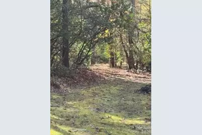 667 Pinewood Knoll Drive, Hendersonville, NC 28739 - Photo 24