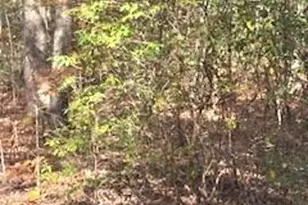 667 Pinewood Knoll Dr, Hendersonville, NC 28739 - Photo 22