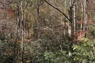 667 Pinewood Knoll Dr, Hendersonville, NC 28739 - Photo 28