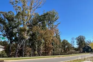 1002 Pastoral Pl, Waxhaw, NC 28173 - Photo 6