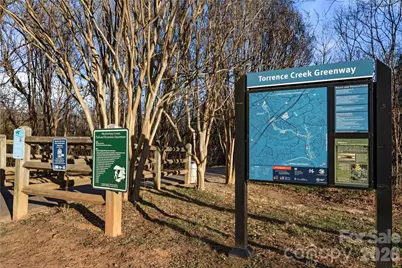 12408 Cedar Fall Drive, Huntersville, NC 28078 - Photo 40