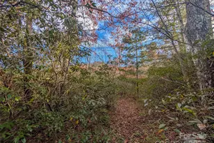 Lot 27 Cherry Hollow None, Burnsville, NC 28714 - Photo 12