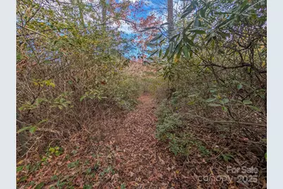 Lot 27 Cherry Hollow None, Burnsville, NC 28714 - Photo 10