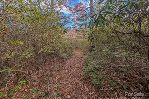 Lot 27 Cherry Hollow None, Burnsville, NC 28714 - Photo 10