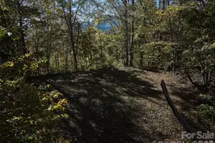 0 Glory Mountain Rd, Bryson City, NC 28713 - Photo 6