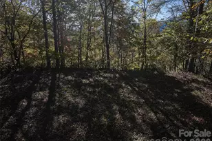 0 Glory Mountain Rd, Bryson City, NC 28713 - Photo 8