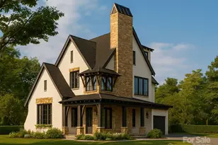 334 N Fork Rd, Black Mountain, NC 28711 - Photo 1