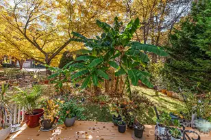 5105 Downing Creek Dr, Charlotte, NC 28269 - Photo 22