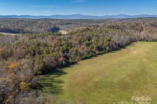 10105 Nc Hwy 108 Hwy E, Mill Spring, NC 28756 - Photo 6
