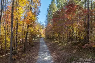 10105 Nc Hwy 108 Hwy E, Mill Spring, NC 28756 - Photo 2