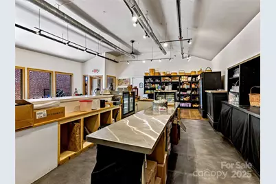 36 & 44 E Main Street, Brevard, NC 28712 - Photo 38