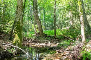 245 White Oak Creek Rd, Burnsville, NC 28714 - Photo 28