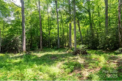 245 White Oak Creek Road, Burnsville, NC 28714 - Photo 40