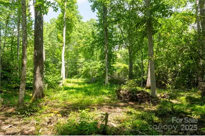 245 White Oak Creek Road, Burnsville, NC 28714 - Photo 38