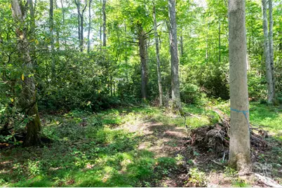 245 White Oak Creek Road, Burnsville, NC 28714 - Photo 36