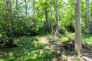 245 White Oak Creek Rd, Burnsville, NC 28714 - Photo 36