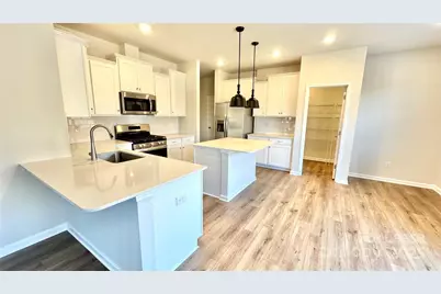 1542 Swallow Tail Drive, Belmont, NC 28012 - Photo 4