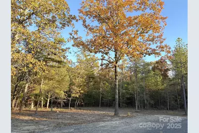 1932 Douglas Road, Lancaster, SC 29720 - Photo 4