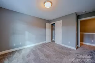 209 Stoney Pt Wy, Candler, NC 28715 - Photo 30