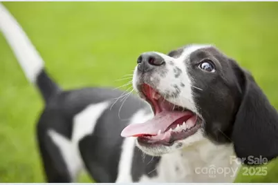 1422 Samuel Street, Charlotte, NC 28206 - Photo 14