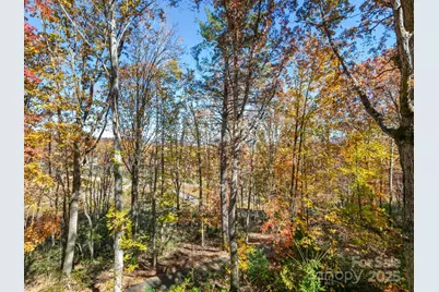 39 Little Piney Mountain Road, Candler, NC 28715 - Photo 32