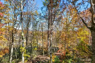 39 Little Piney Mountain Rd, Candler, NC 28715 - Photo 32