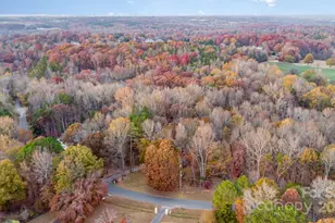 909 Woodland Frst Dr, Marvin, NC 28173 - Photo 46