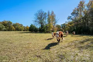492 Starr Ridge Rd, Gaffney, SC 29340 - Photo 38