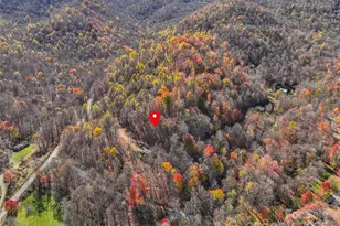 000 Pearl Way, Burnsville, NC 28714 - Photo 6