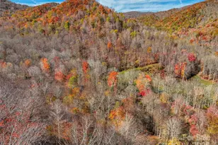 000 Pearl Way, Burnsville, NC 28714 - Photo 4