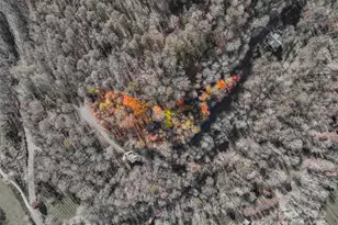 000 Pearl Way, Burnsville, NC 28714 - Photo 8