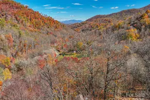 000 Pearl Way, Burnsville, NC 28714 - Photo 2