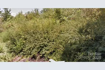 0 Buford Drive, Morganton, NC 28655 - Photo 4