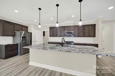 905 Black Beard Drive, Denver, NC 28037 - Photo 14