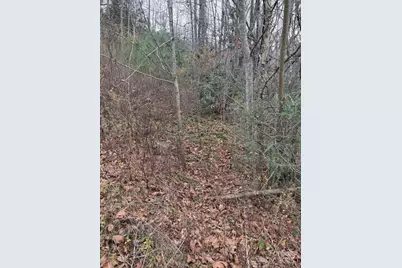 0 Relaxation Place, Lenoir, NC 28645 - Photo 12