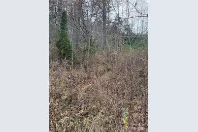 0 Relaxation Place, Lenoir, NC 28645 - Photo 6