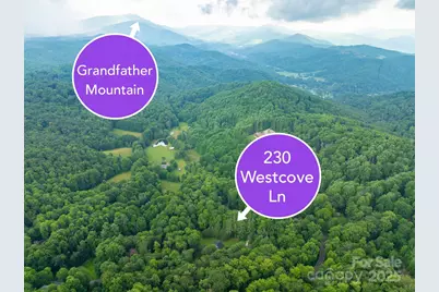 230 West Cove Lane, Boone, NC 28607 - Photo 2