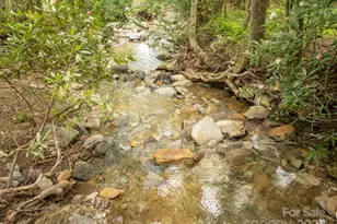 230 Westcove Ln, Boone, NC 28607 - Photo 32