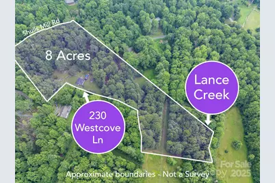 230 West Cove Lane, Boone, NC 28607 - Photo 4