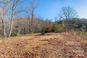 9999 Sourwood Rd, Canton, NC 28716 - Photo 24