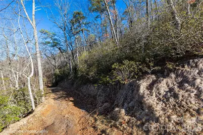 9999 Sourwood Road, Canton, NC 28716 - Photo 16