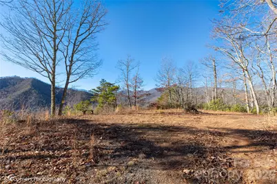 9999 Sourwood Road, Canton, NC 28716 - Photo 6