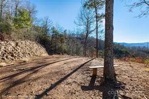 9999 Sourwood Rd, Canton, NC 28716 - Photo 6