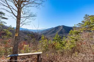 9999 Sourwood Rd, Canton, NC 28716 - Photo 8