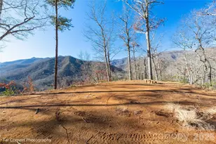 0000 Sourwood Rd, Canton, NC 28716 - Photo 12