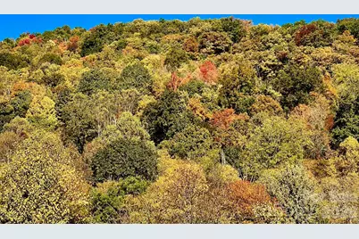 0000 Sourwood Road, Canton, NC 28716 - Photo 34