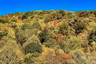 0000 Sourwood Rd, Canton, NC 28716 - Photo 34